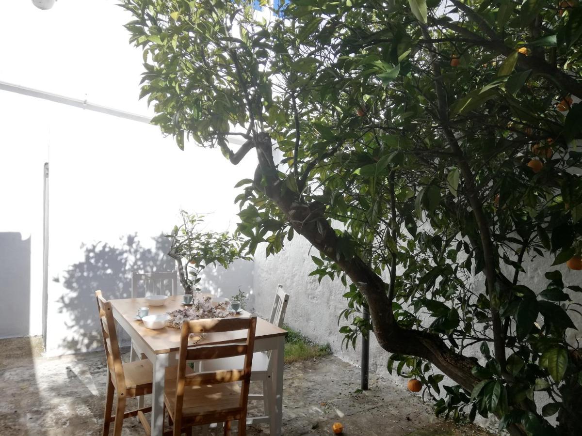 Masseria Pugliese Farm 오스투니 외부 사진